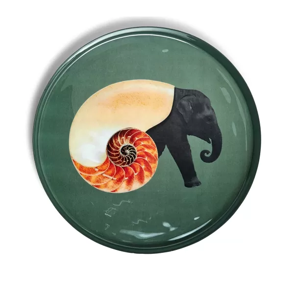 Clearance Gangzai Plateau Rond Shellphant