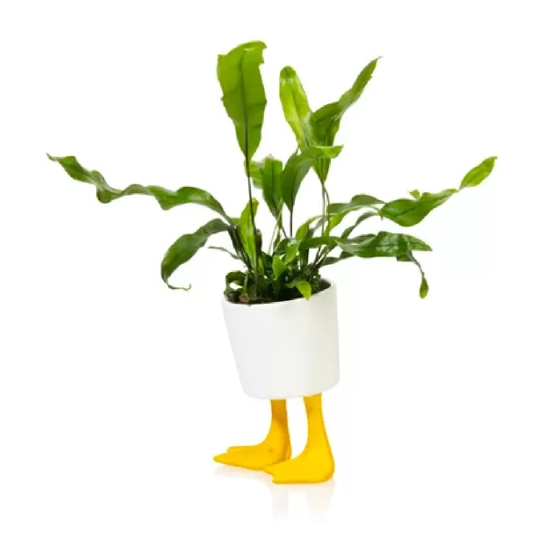 Cheap Sélectionné par Fleux Pot / Jardiniere Pieds Canards - Jaune & Blanc