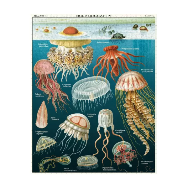 Best Sélectionné par Fleux Puzzle Meduses - 1000 Pieces